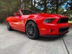Thumbnail Photo 22 for 2014 Ford Mustang Shelby GT500 Convertible